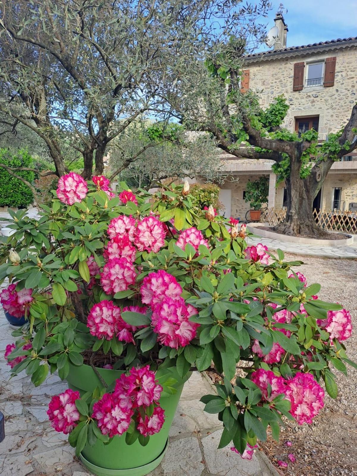 Gite 5 "Le Laurus" Aux Magnolias 오브나 외부 사진