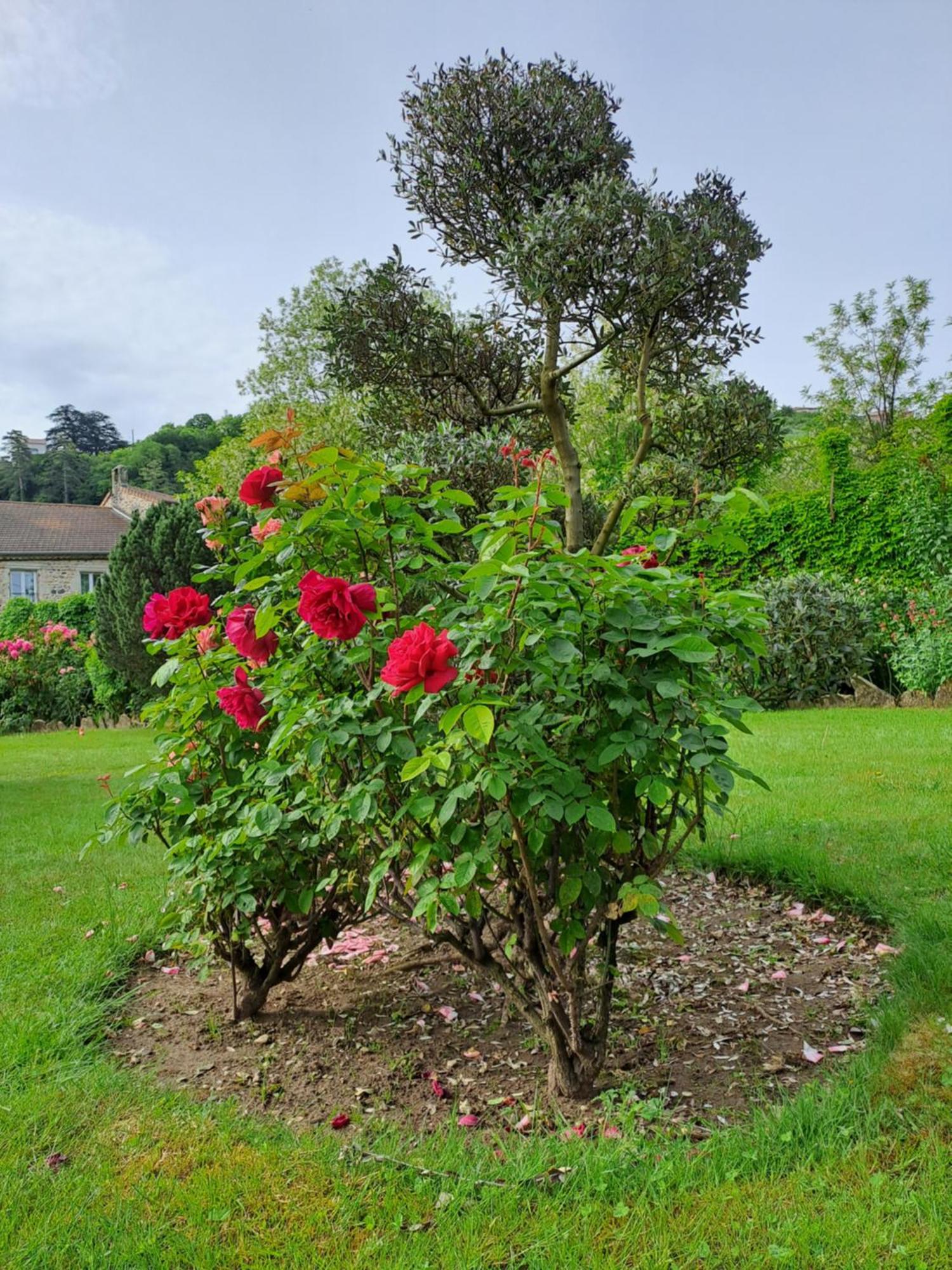 Gite 5 "Le Laurus" Aux Magnolias 오브나 외부 사진