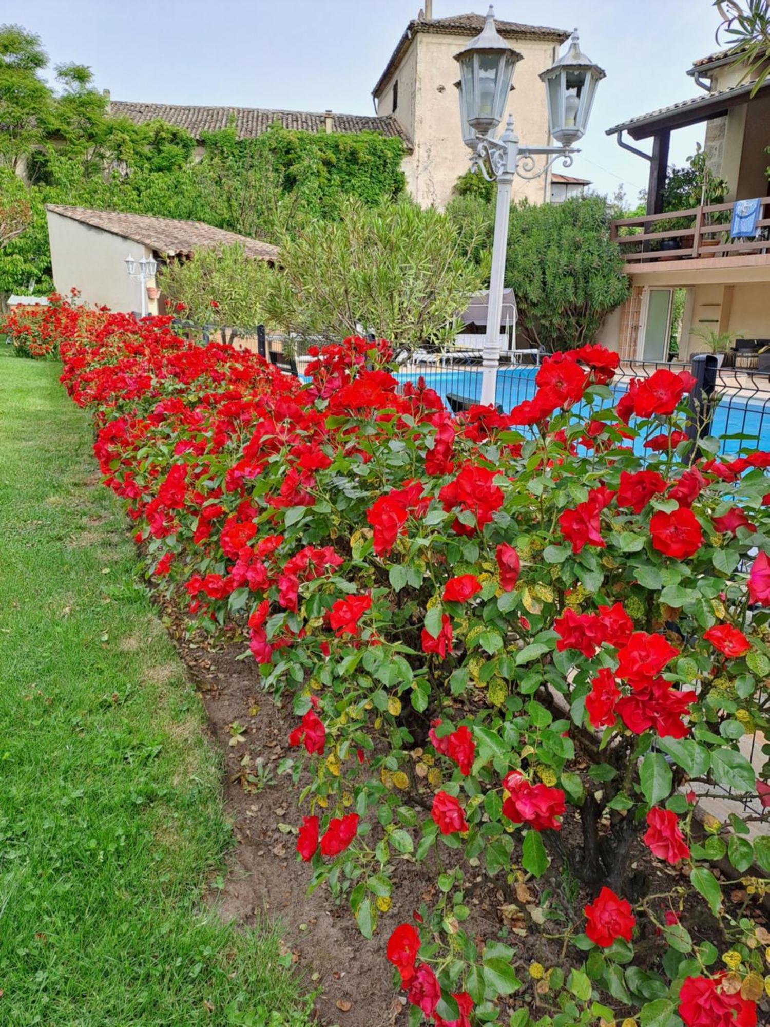 Gite 5 "Le Laurus" Aux Magnolias 오브나 외부 사진